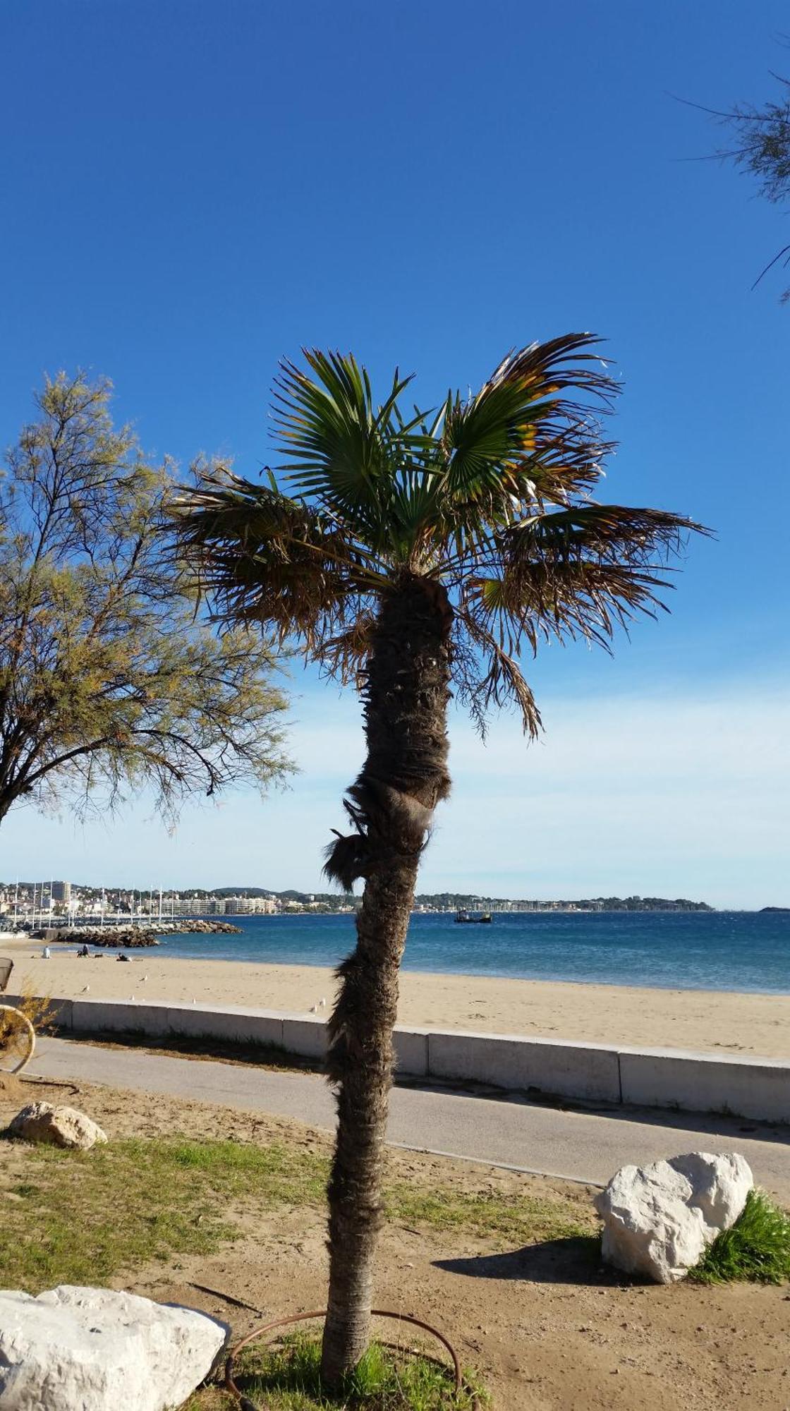 Sublime Vue Mer,parking,wifi * Frejus