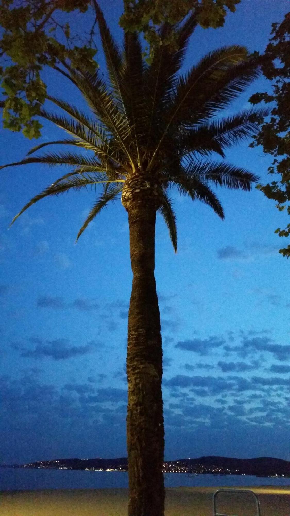 Apartment Sublime Vue Mer,parking,wifi Frejus
