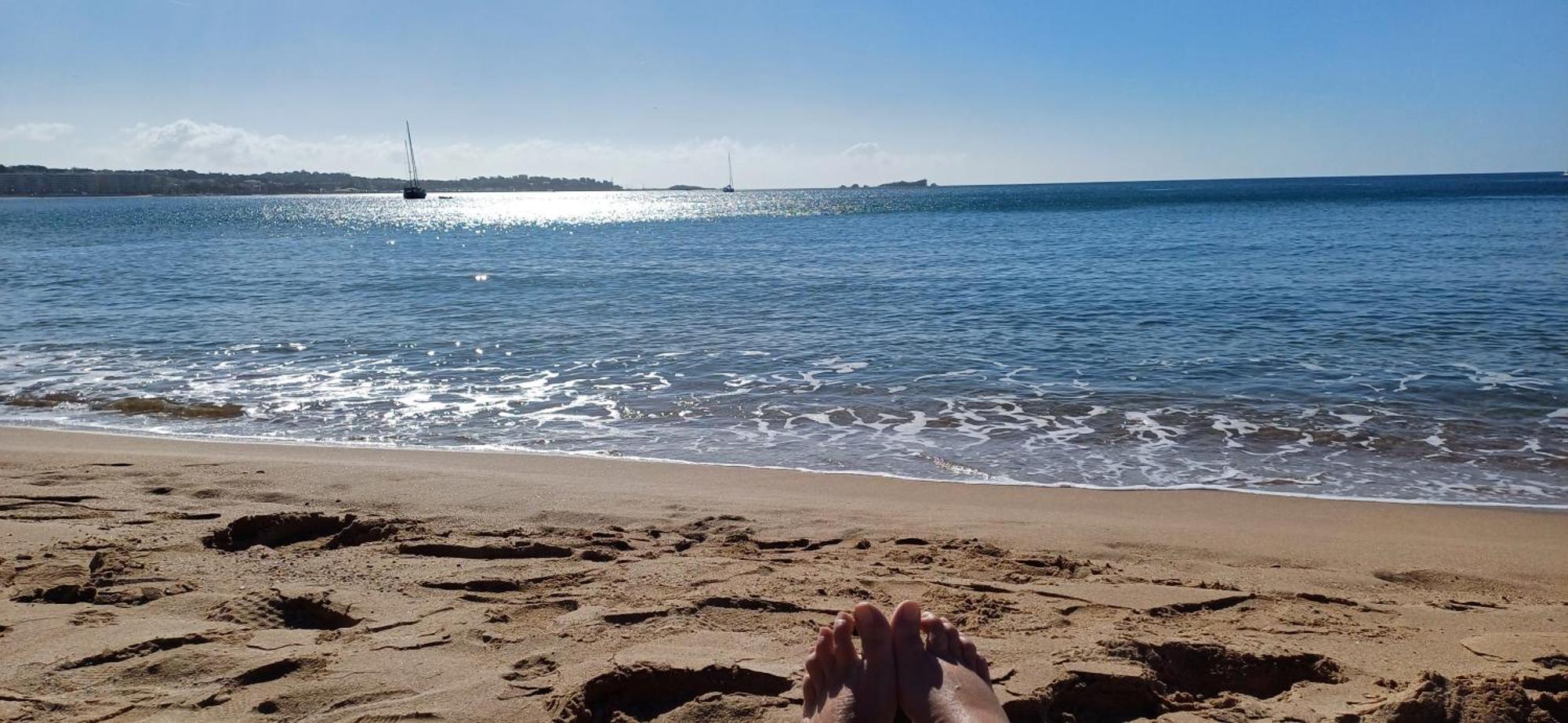 Sublime Vue Mer,parking,wifi Apartment